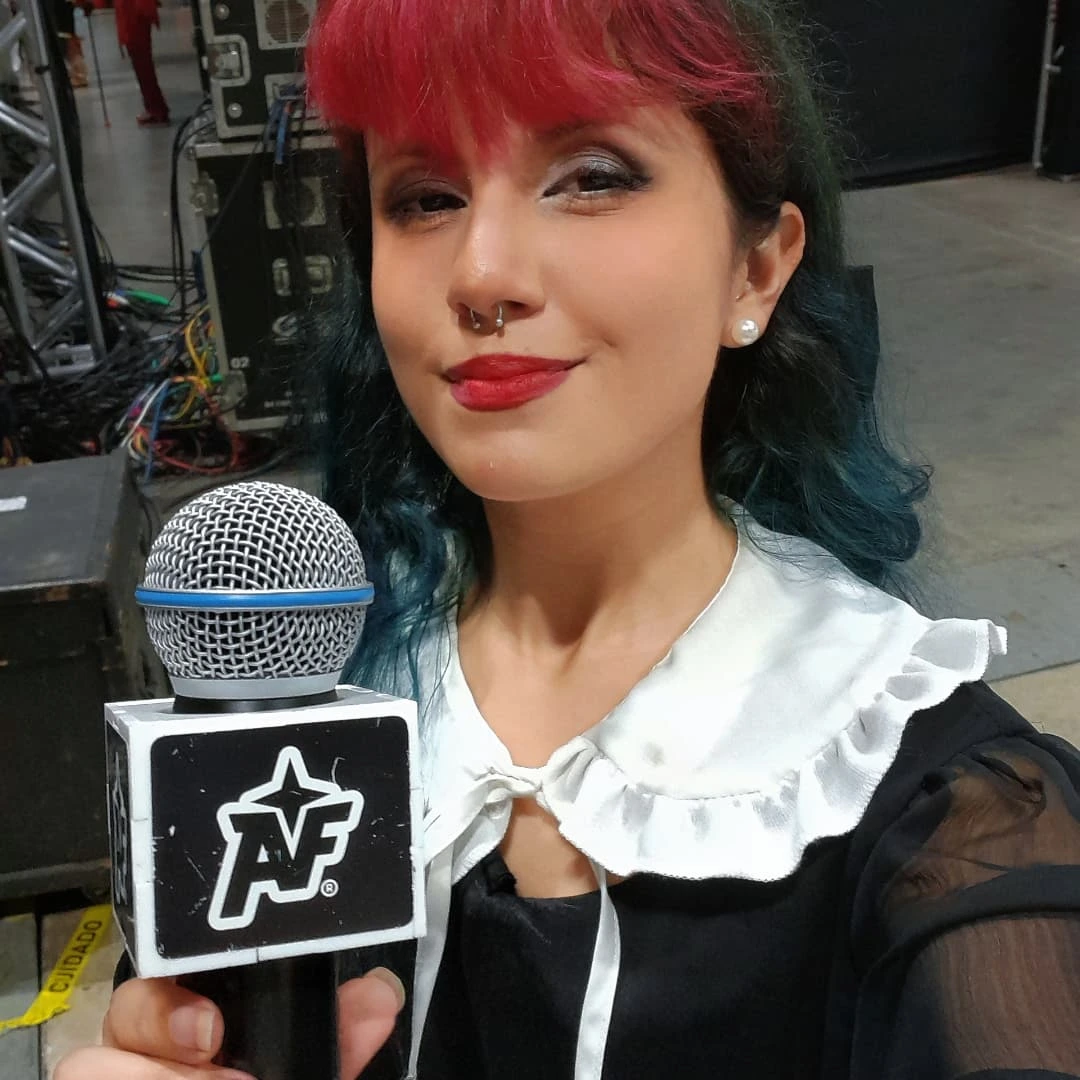 Foto do painel do Anime Friends